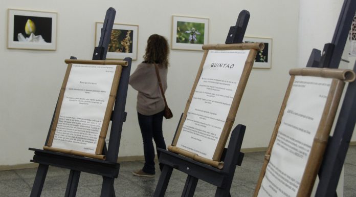 Nova exposição fotográfica do Museu Municipal trata de saúde, ecologia e taoísmo