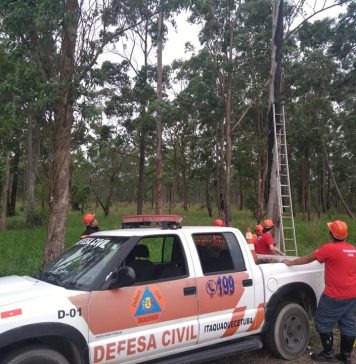 Defesa civil implanta operação “Lenha Seca” em Itaquaquecetuba