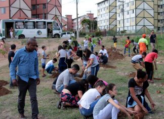 Prefeitura de Itaquá plantou mais de mil mudas de árvores em 2018
