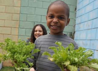 Alunos da Creche Agostinho Pereira Bahia fazem colheita da Horta em Pneus