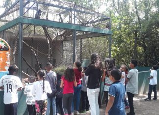 Crianças do Cras Morro Branco visitam Zoológico de Guarulhos