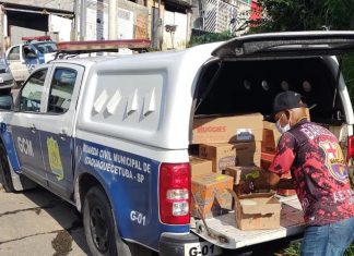 Guarda Municipal apreende carga roubada