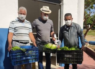 Banco de Alimentos doa duas toneladas de alface