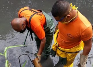 Prefeitura desenvolve trabalho conjunto para fiscalizar empresas poluidoras