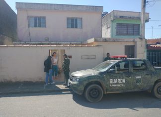 Ação conjunta resgata animais abandonados no Jardim Rio Negro