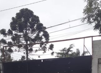 Guarda Ambiental autua empresas poluidoras