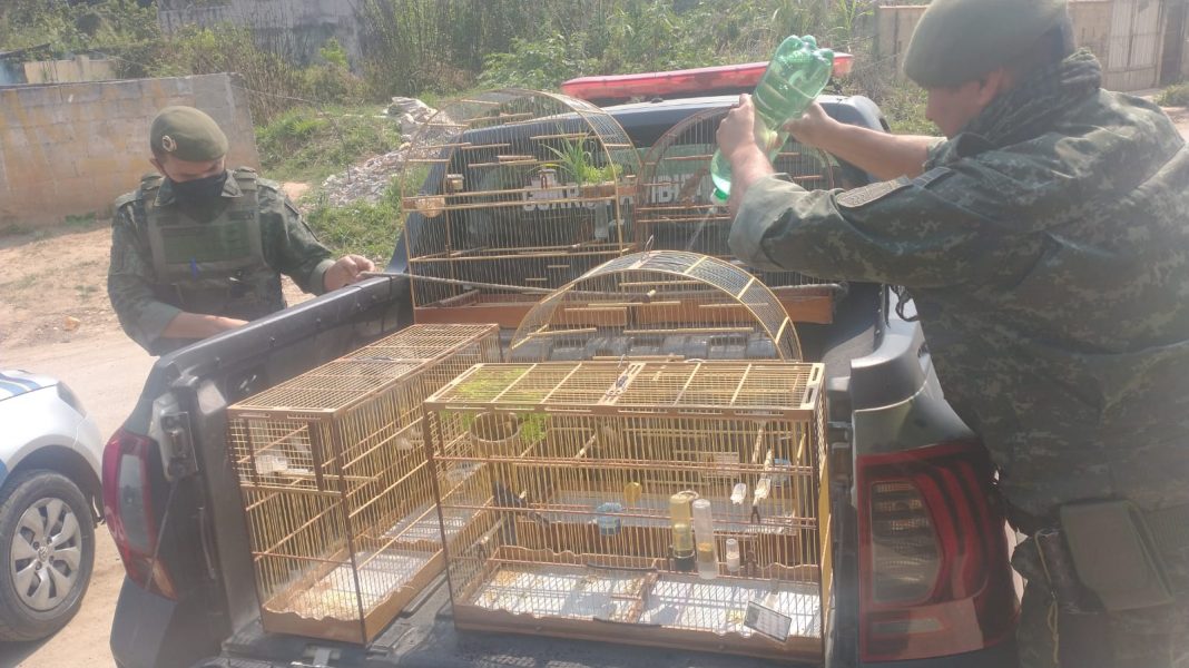 Guarda Ambiental (1)