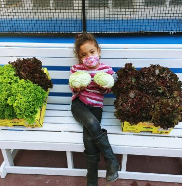 Banco de Alimentos entregou mais de 40 toneladas de alimentos