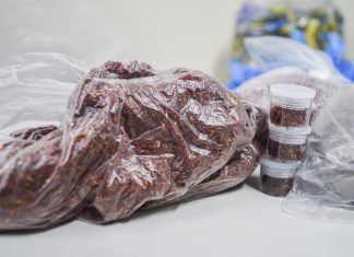GCM encontra mais de oito quilos de drogas em ‘casa bomba’
