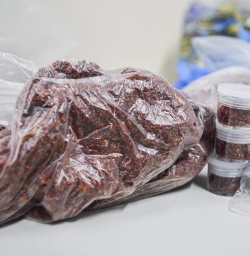 GCM encontra mais de oito quilos de drogas em ‘casa bomba’