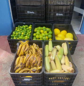 Banco de Alimentos distribui 1,5 toneladas de alimentos