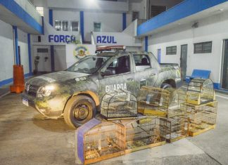 Guarda Ambiental já resgatou 43 animais em 2022