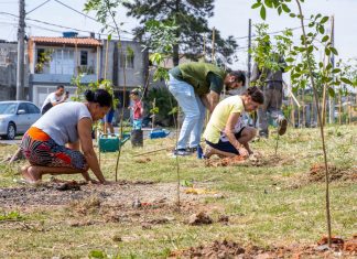 Semana da Árvore é celebrada com programação especial