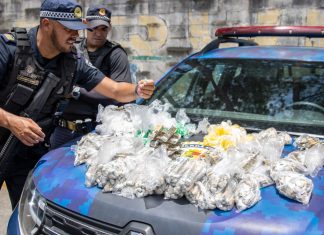 GCM apreende 2,7 mil invólucros de drogas em casa bomba