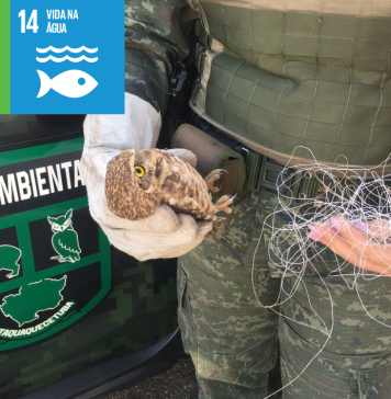Número de animais resgatados pela Guarda Ambiental cresce 40%