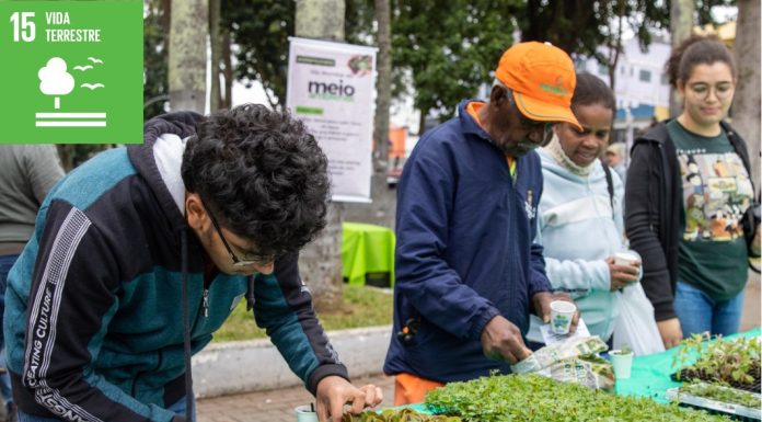 Projeto Cidade + Verde incentiva o plantio com doação de mudas de espécies nativas