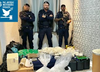 GCM localiza ‘apartamento bomba’ com 25,8 kg de drogas, 4.302 porções e uma pistola