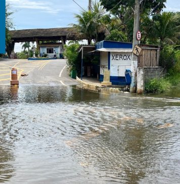 Parque Ecológico é interditado após alagamentos