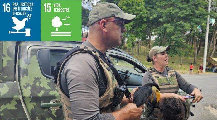 Resgate de animais silvestres cresce 256%