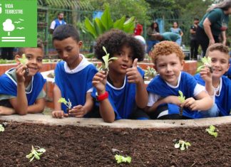 Itaquá reinaugura Horta Mandala no Parque Ecológico Mário do Canto para promover educação ambiental
