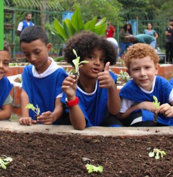 Itaquá reinaugura Horta Mandala no Parque Ecológico Mário do Canto para promover educação ambiental