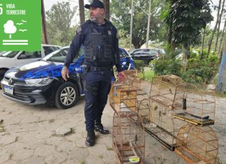 Guarda Ambiental de Itaquá resgata pássaros silvestres mantidos em cativeiro