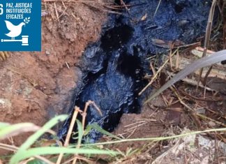 Guarda Ambiental flagra e autua empresa por descarte irregular de resíduos