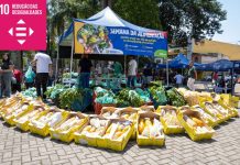 Itaquá celebra Semana da Alimentação com ações integradas de promoção à saúde
