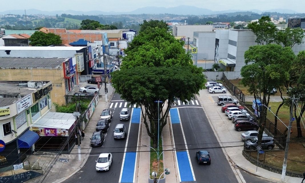 Carrinho de Rolimã (