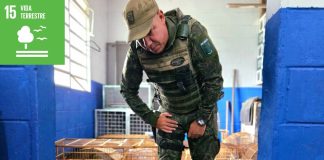 Guarda Ambiental de Itaquá resgata 49 aves durante a Operação Pássaro Livre