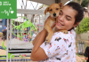 Feira de Adoção de Pets leva amor e novos lares ao Shopping Pateo Itaquá neste sábado (8)