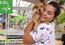 Feira de Adoção de Pets leva amor e novos lares ao Shopping Pateo Itaquá neste sábado (8)