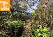 Cidade + Verde fortalece arborização urbana com doação de mudas e amplia cobertura vegetal em Itaquá