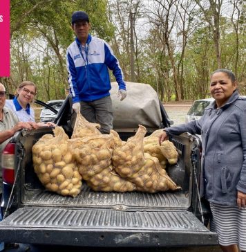 Itaquá distribui mais de 12 toneladas de alimentos a famílias em situação de vulnerabilidade