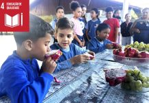Pitaya entra no cardápio da merenda escolar e amplia alimentação saudável nas escolas de Itaquá