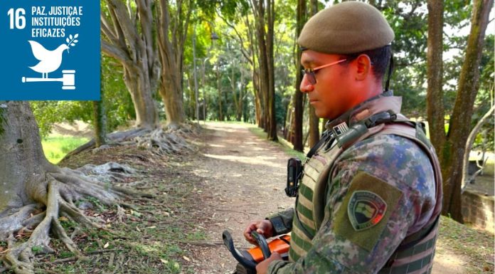 Guarda Ambiental de Itaquá apreende motosserra e aplica multa por corte irregular de árvore