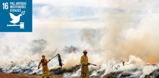 Itaquá participa de simulado regional de incêndio em cobertura vegetal no Parque Estadual do Juquery