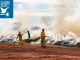 Itaquá participa de simulado regional de incêndio em cobertura vegetal no Parque Estadual do Juquery