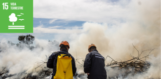 Defesa Civil de Itaquá dá início à Operação Estiagem para combate a queimadas em áreas de vegetação